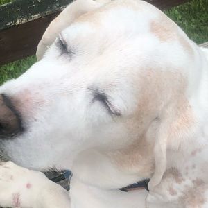 Meet your Posher, Carolyn